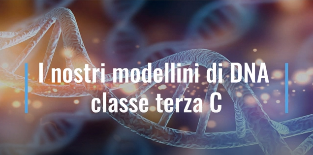 Modellini di DNA