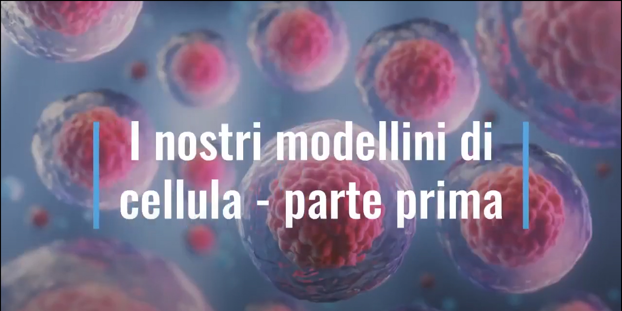 Modellini di cellula prima parte