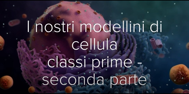 Modellini di cellula seconda parte